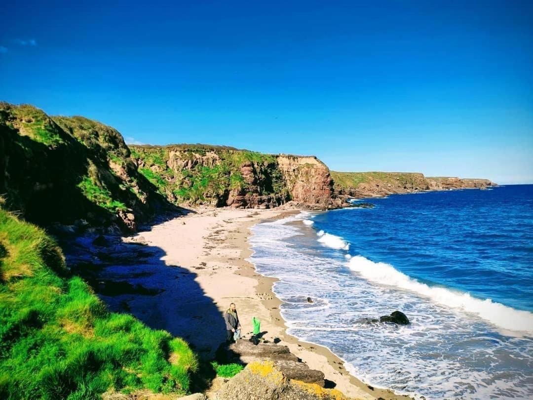 Ballyhack By The Sea Arthurstown Exterior foto